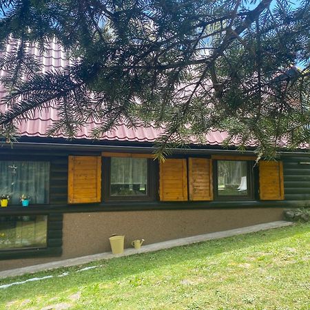 Puhova Koliba Villa Delnice Bagian luar foto