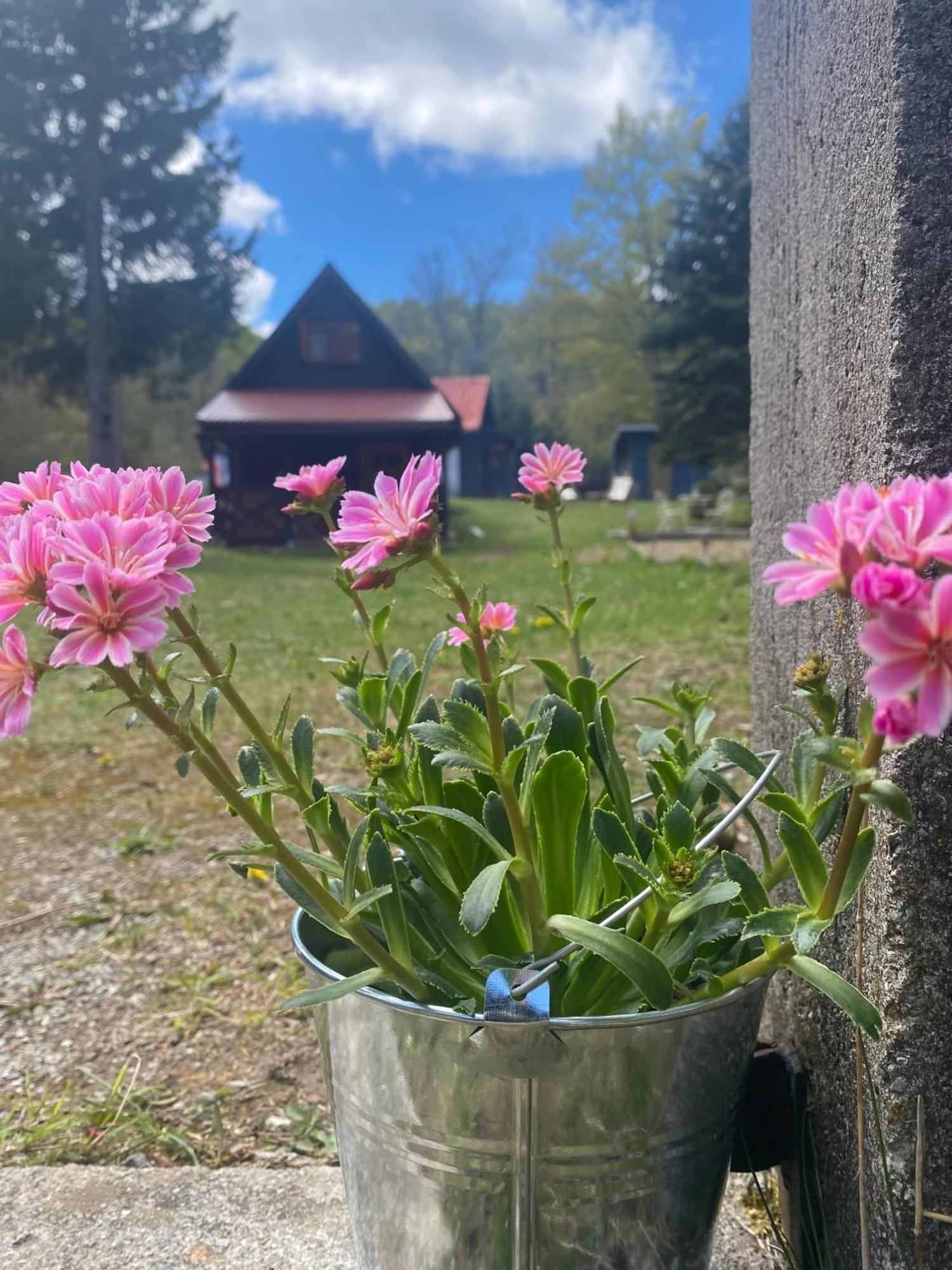 Puhova Koliba Villa Delnice Bagian luar foto