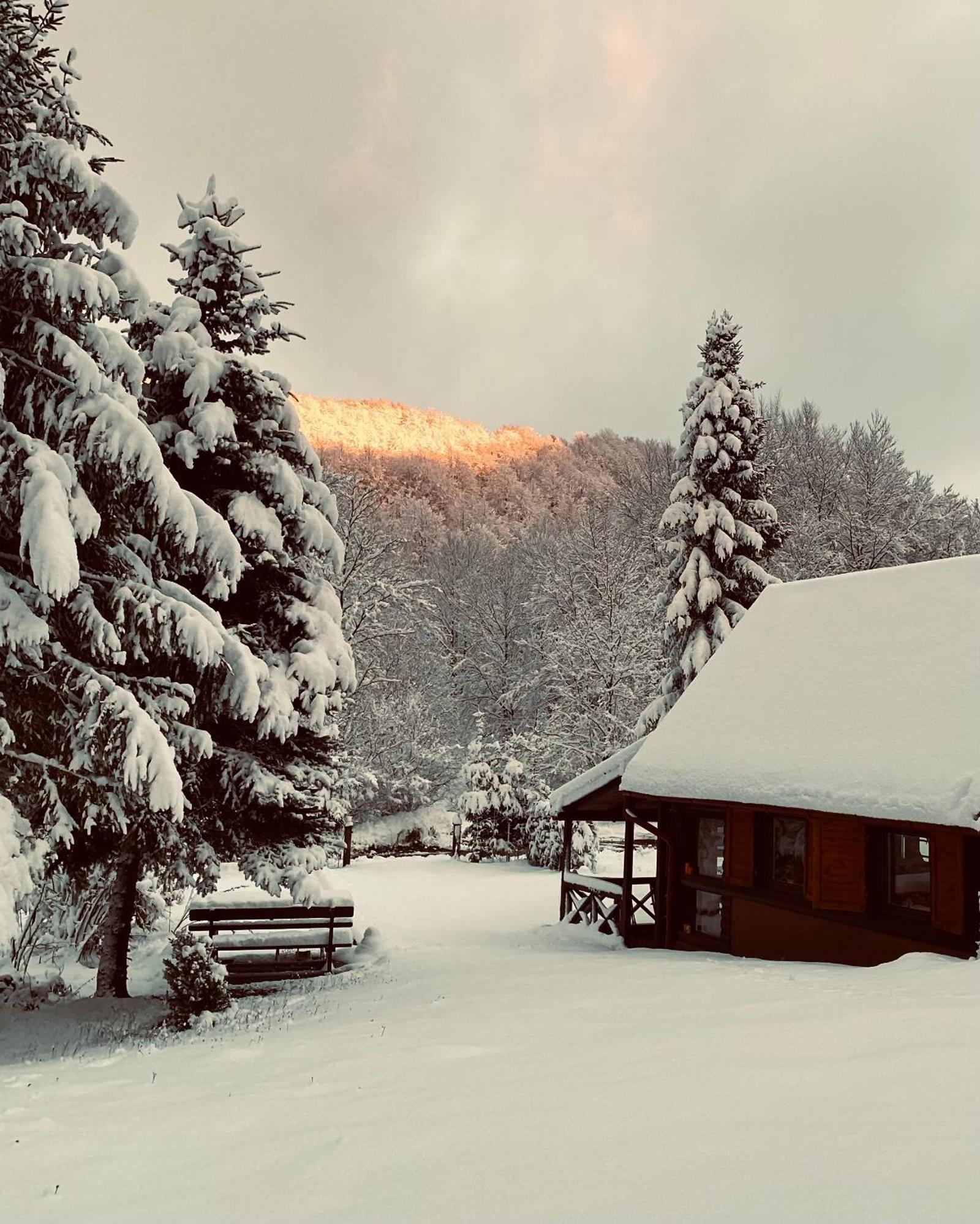 Puhova Koliba Villa Delnice Bagian luar foto
