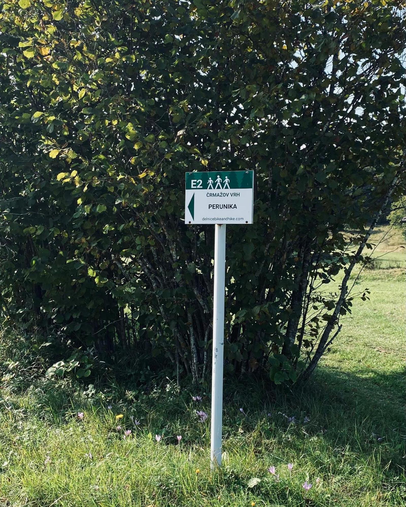 Puhova Koliba Villa Delnice Bagian luar foto