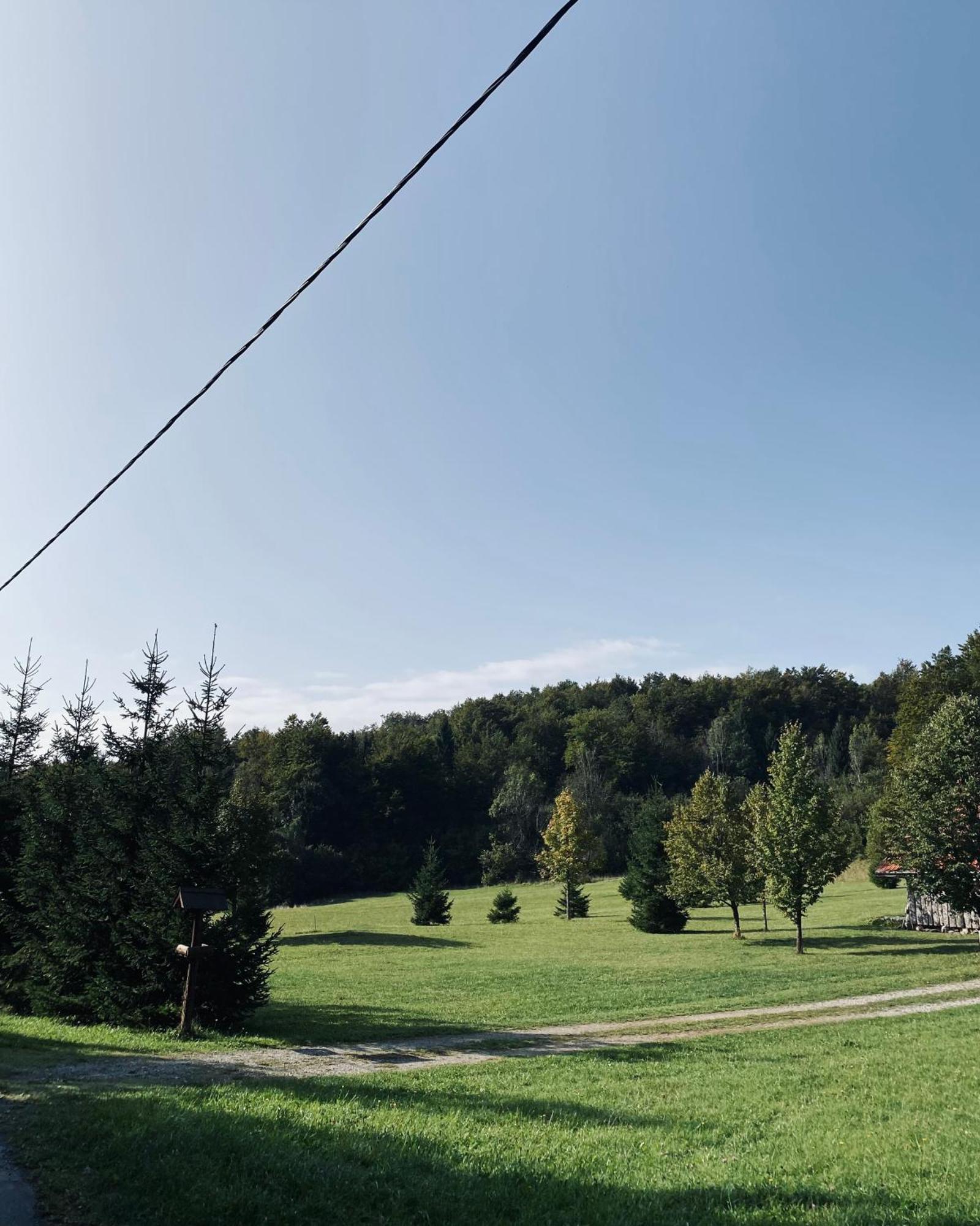 Puhova Koliba Villa Delnice Bagian luar foto